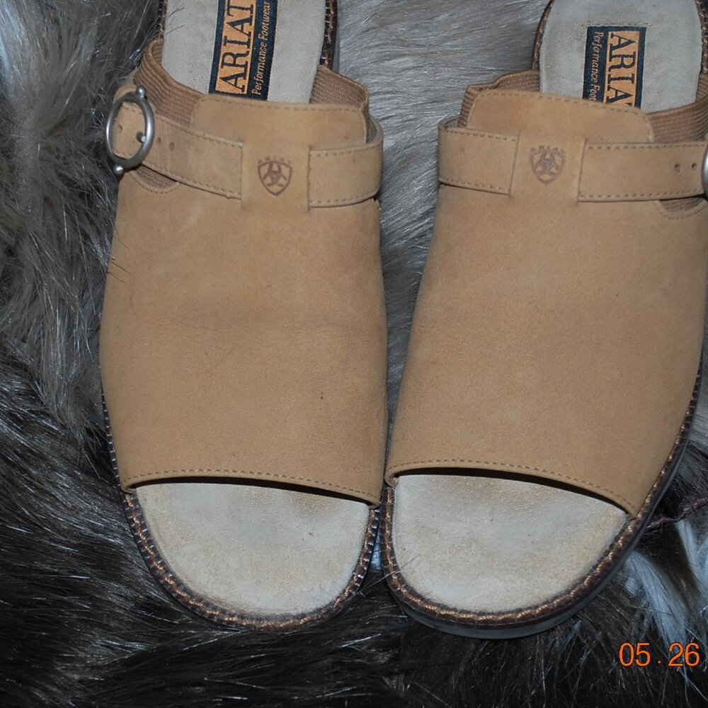 Ariat Shoes